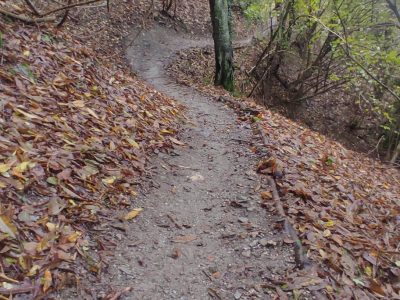 JOLLY BIKE CREW quelli che pedalano, e non solo, sui trail della Guardia